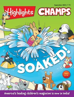 Highlights Champs